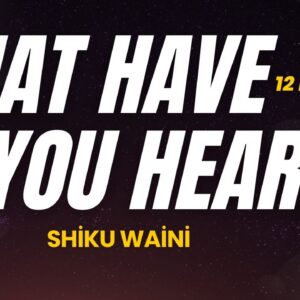 What Have You Heard? ~ Shiku Waini What Have You Heard? ~ Shiku Waini