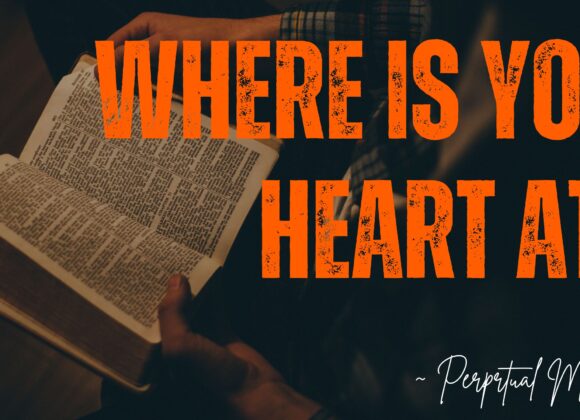 Where Is Your Heart? ~ Perpetual Mbugua